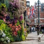 Chelsea Flower Show gardens and floral displays in London 2026